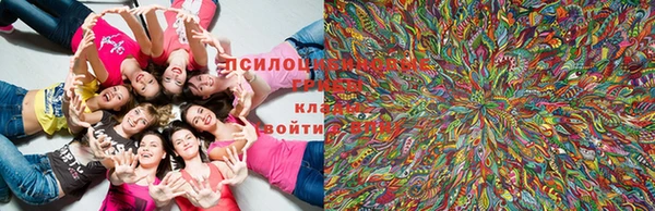 кокаин VHQ Гусиноозёрск