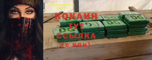 круглые Гусев