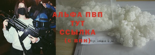 круглые Гусев
