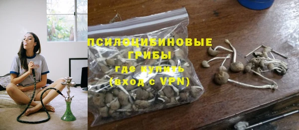 круглые Гусев