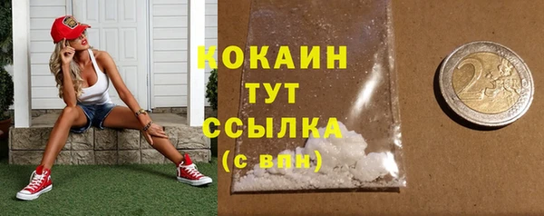 круглые Гусев