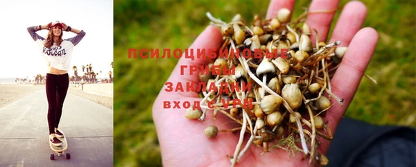 круглые Гусев